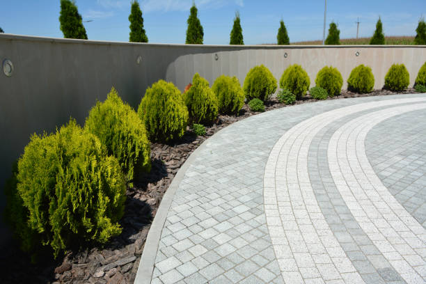 Best Cobblestone Driveway Paving in Seminole Manor, FL